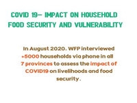 This shows survey results of COVID19 impact on livelihoods and food security in graphic form 