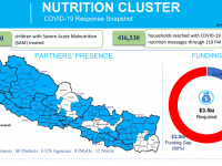 This image has Nutrition cluster partners presence map and funding requirement