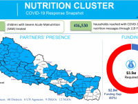 This image has nutrition cluster partners presence map, funding requirements